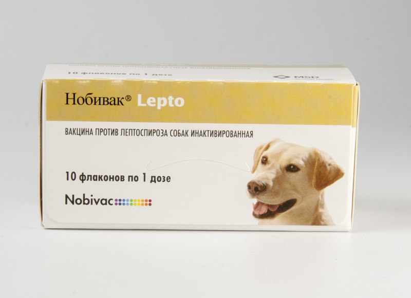 Вакцина Нобивак Lepto