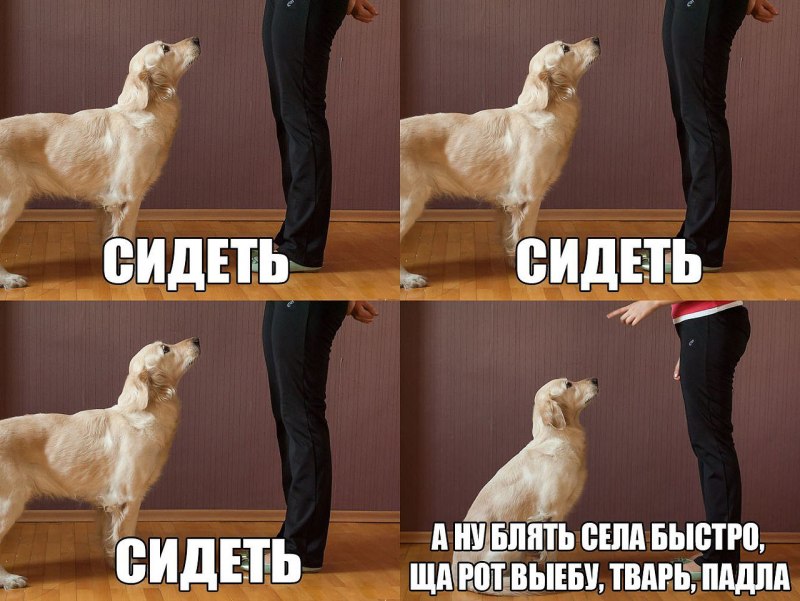 Садись быстрее