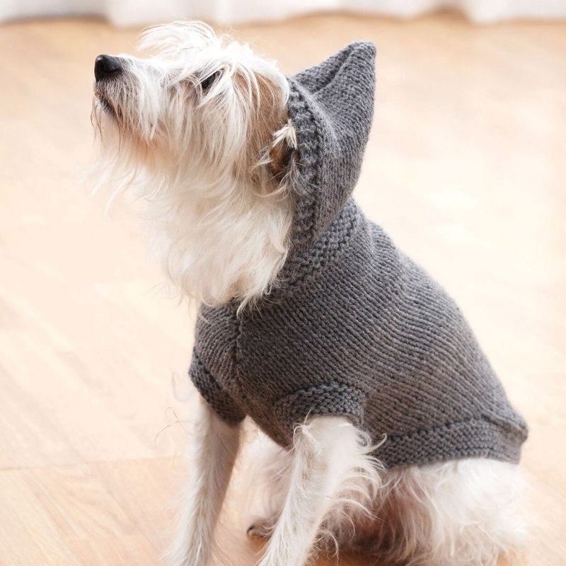 Вязаные спицами собака. Свитер для собак. Вязаная одежда для собак. Вязаный свитер для собаки. Вязаная одежда для собак спицами.