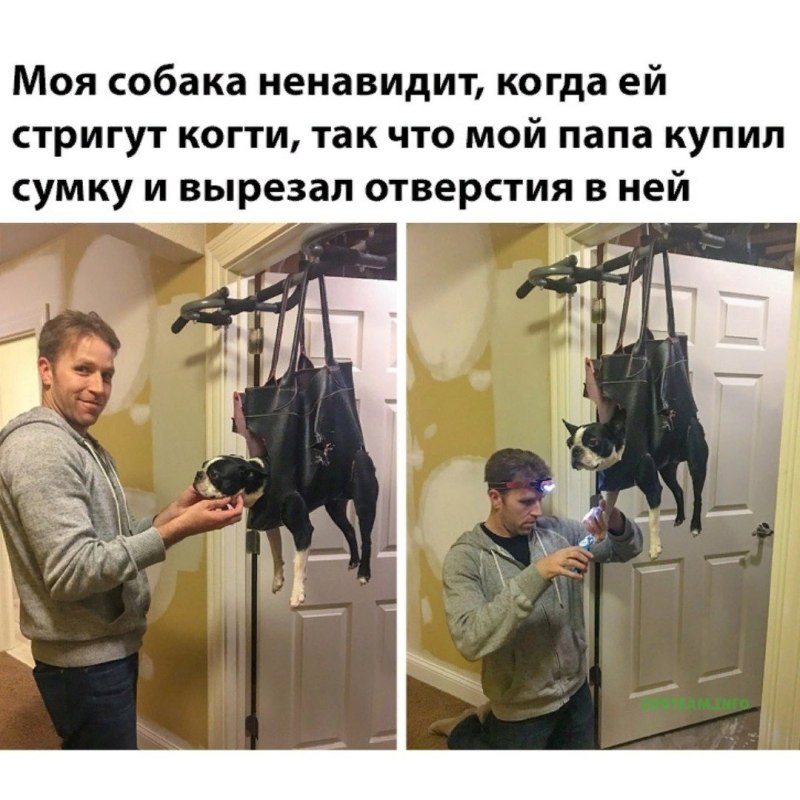 Ответ убил Мем пустой