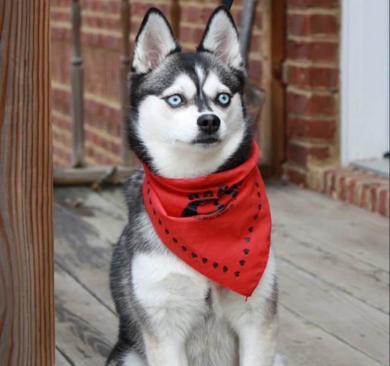 Кли Кай