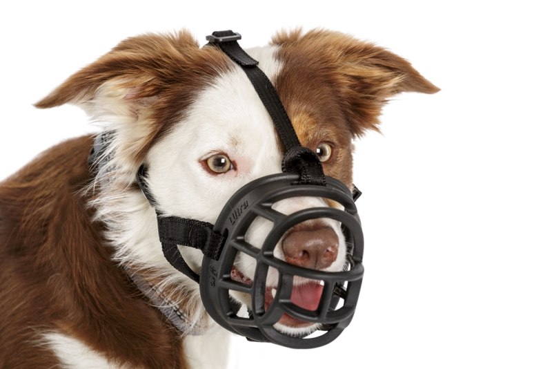 Намордник Baskerville Ultra Muzzle