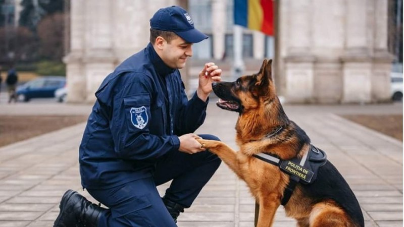 Полицейский с собакой