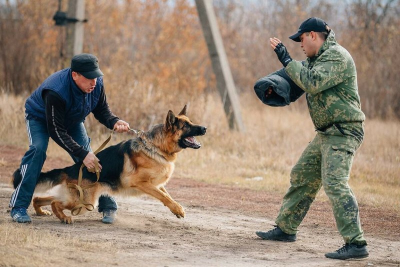 ОКД ЗКС