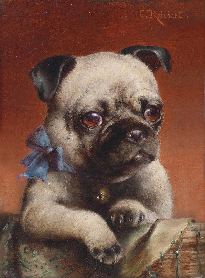 Carl Reichert Пекинес