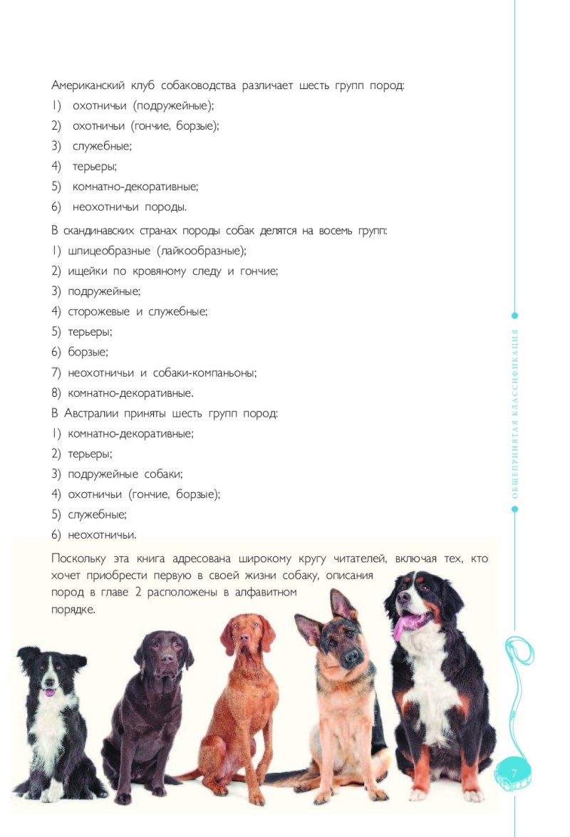 Самые распространенные породы собак