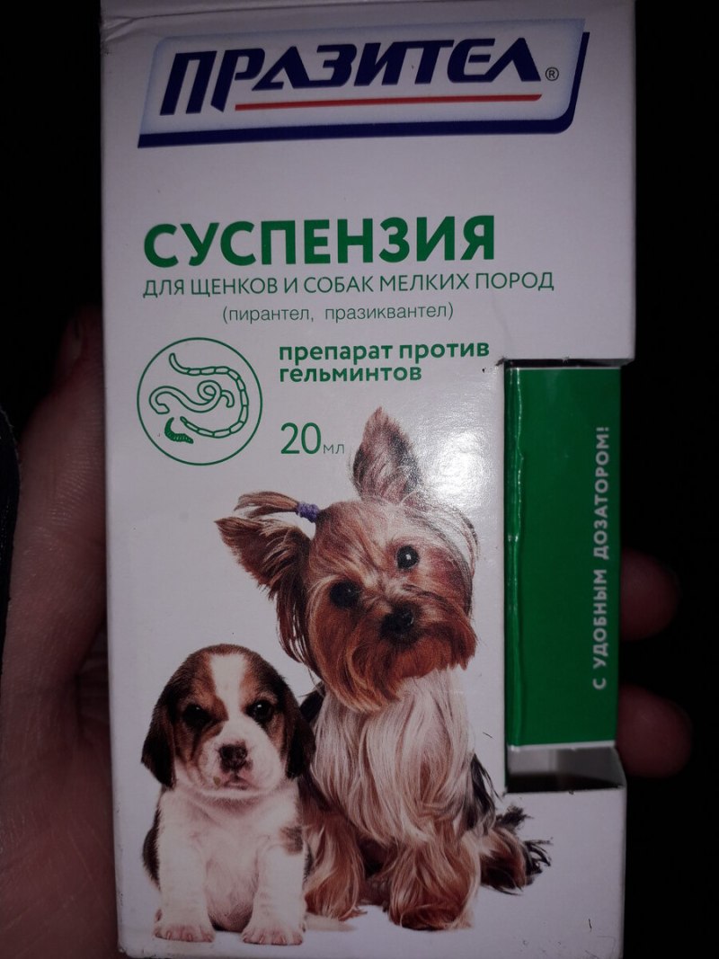 Дипилидиоз у кошек цикл развития