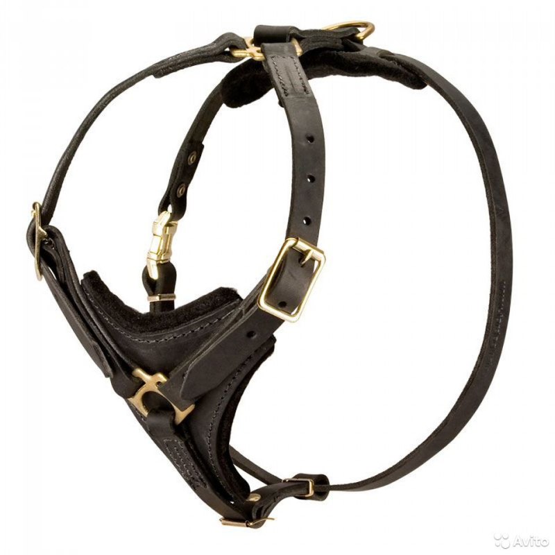 Ошейник Gripalle Паркер 40-55g, 55 см