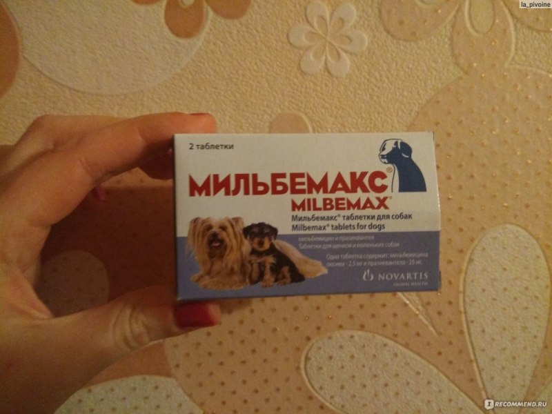 Мильбемакс для собак дозировка