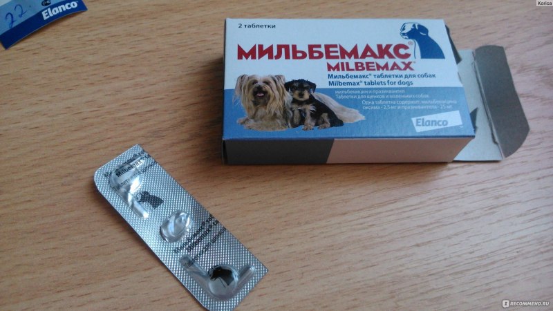 Мильбемакс дегельминтизация