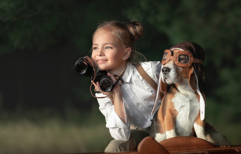 Фотограф и животные