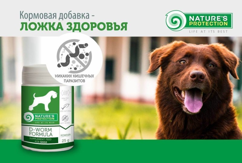 Демодекоз собак патогенез