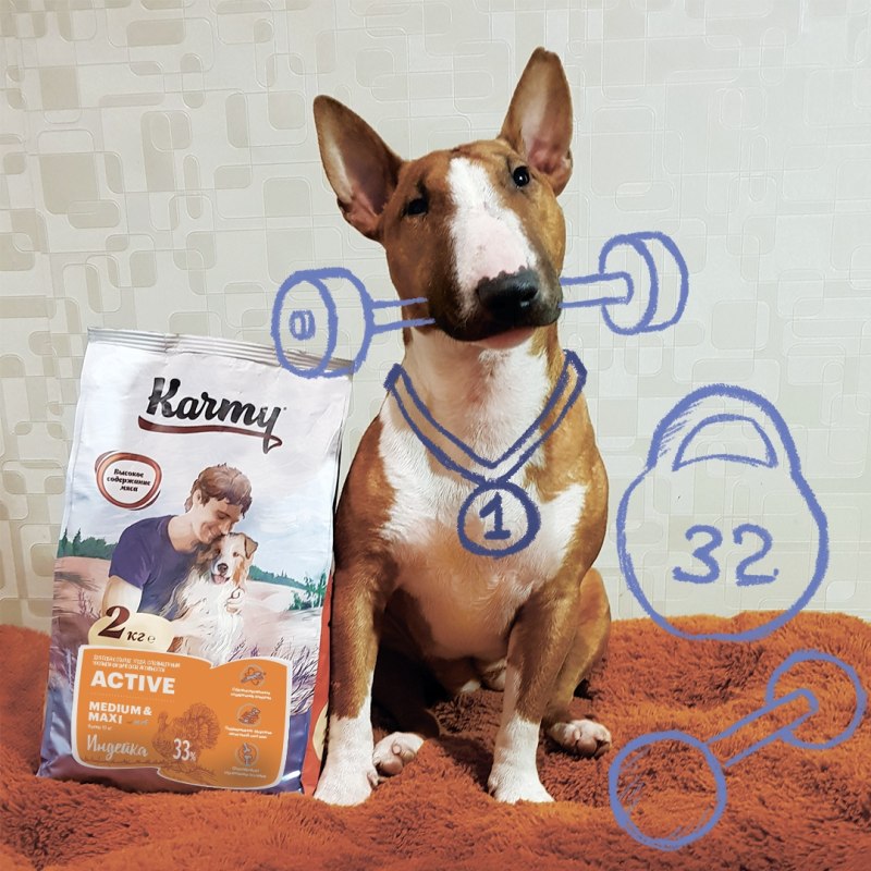 Karma корм для собак