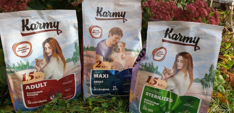 Корм для кошек karmy для здоровья кожи и шерсти, с лососем 10 кг