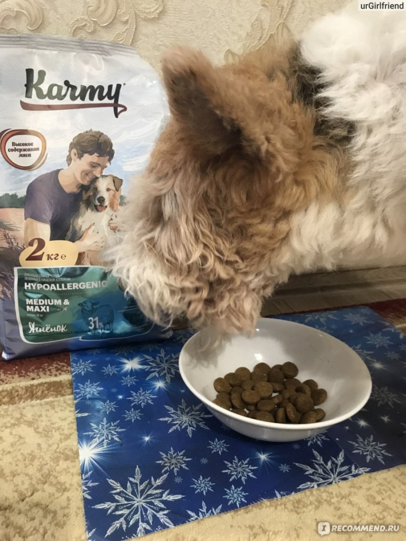 Karmy для собак с ягненком