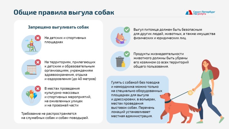 Вакцинация собак график