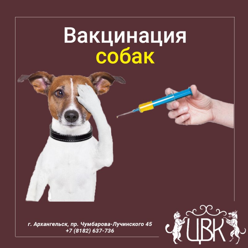 Сделать прививку щенку