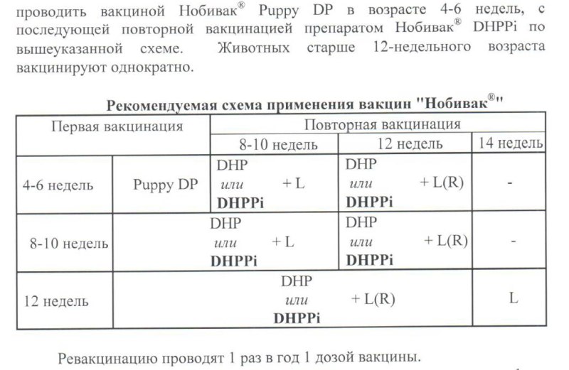 Акция для собак