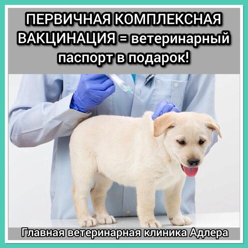 Вакцинаторы для животных