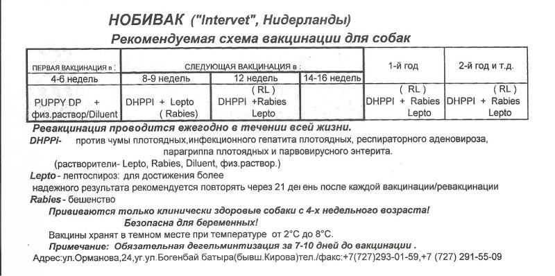 Нобивак для собак схема вакцинации