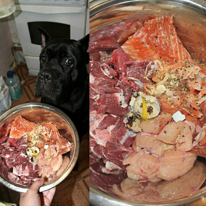 Натуральное питание для собак