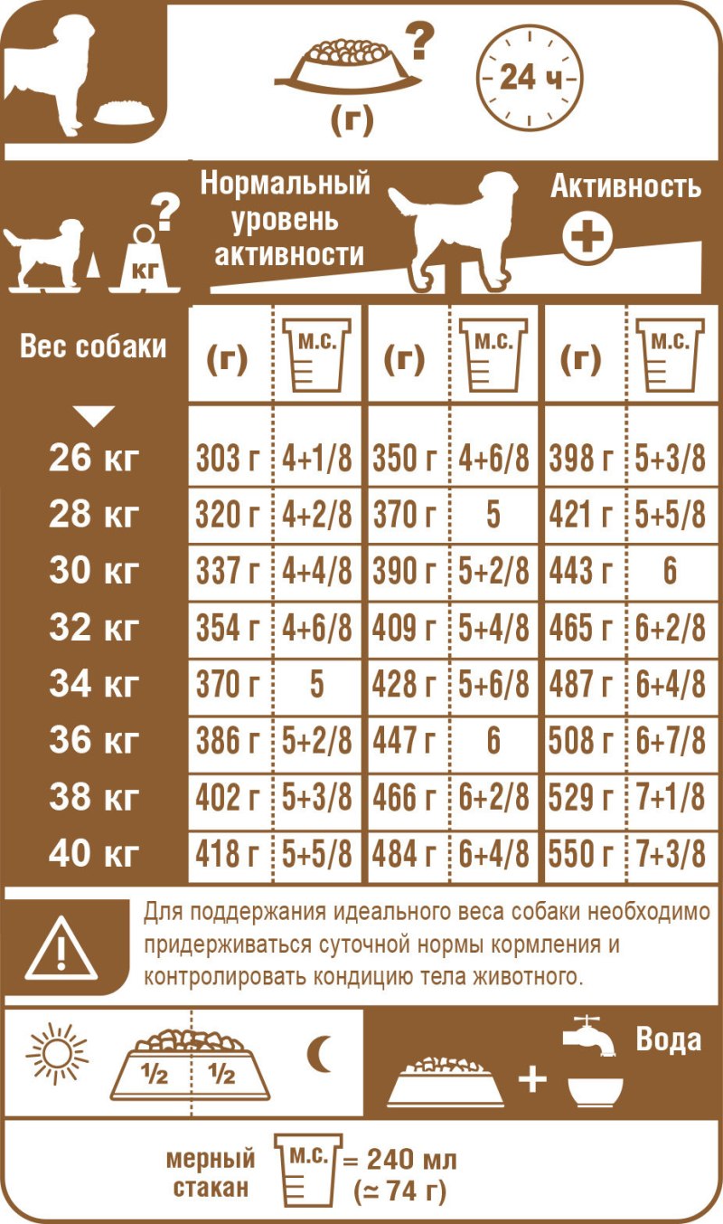 Норма корма для щенка лабрадора 2.5 месяцев