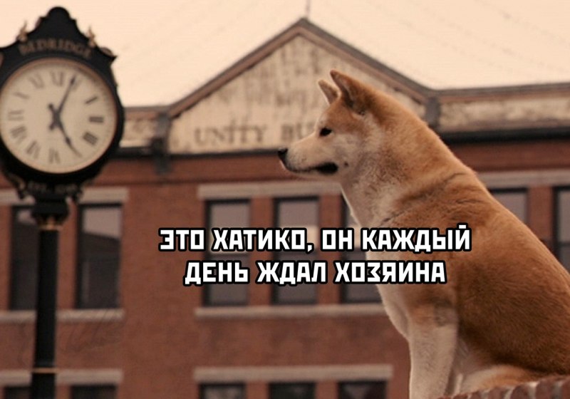 Хатико Мем