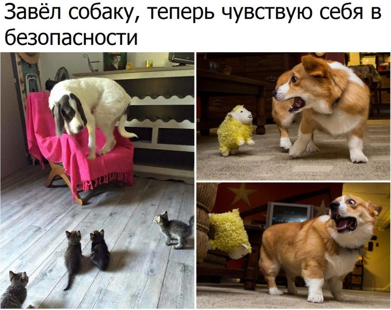 Мем с большой и маленькой собакой