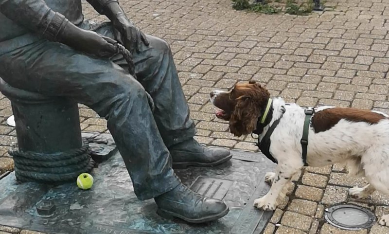 Герман и собака Chester