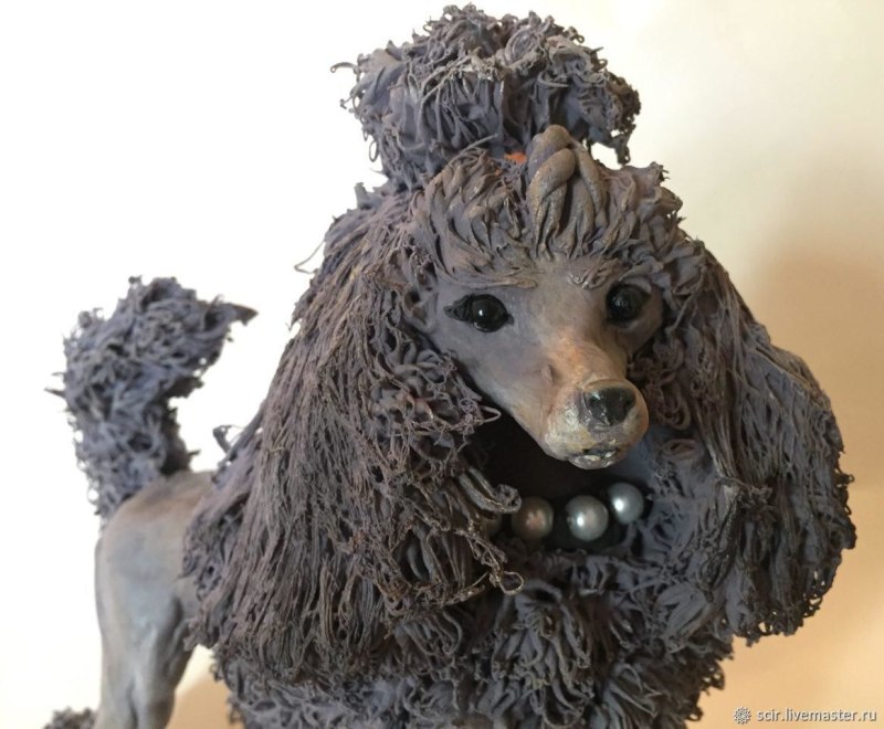 Silver Poodle щенок