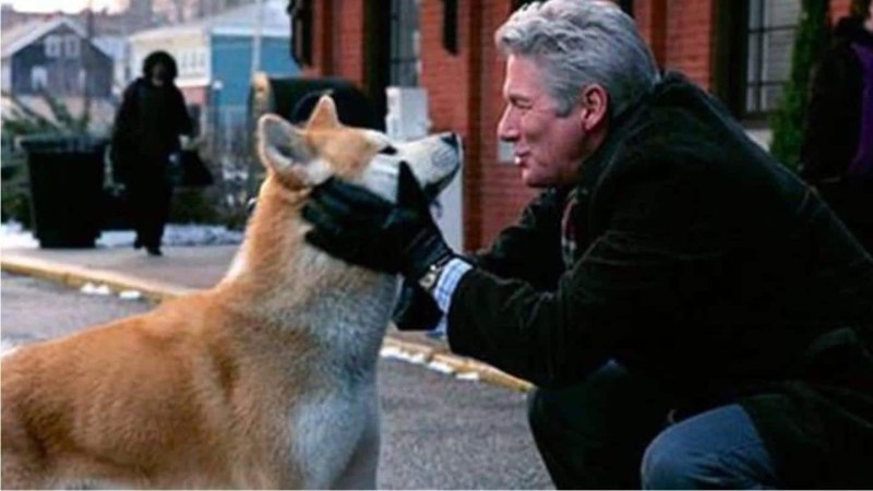Akita Hunting