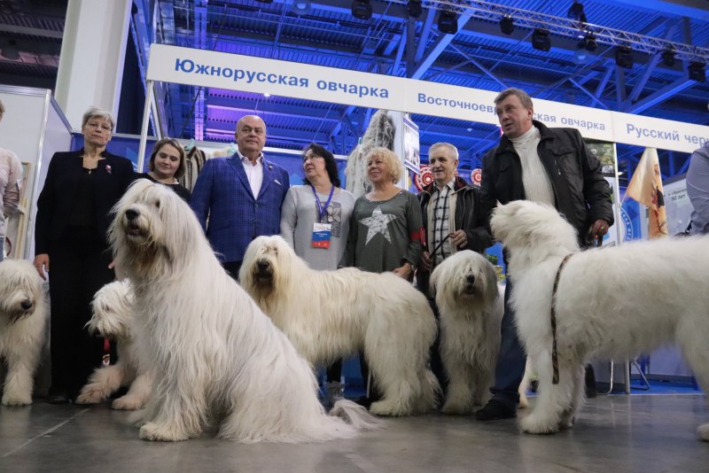 Южнорусская овчарка питомник