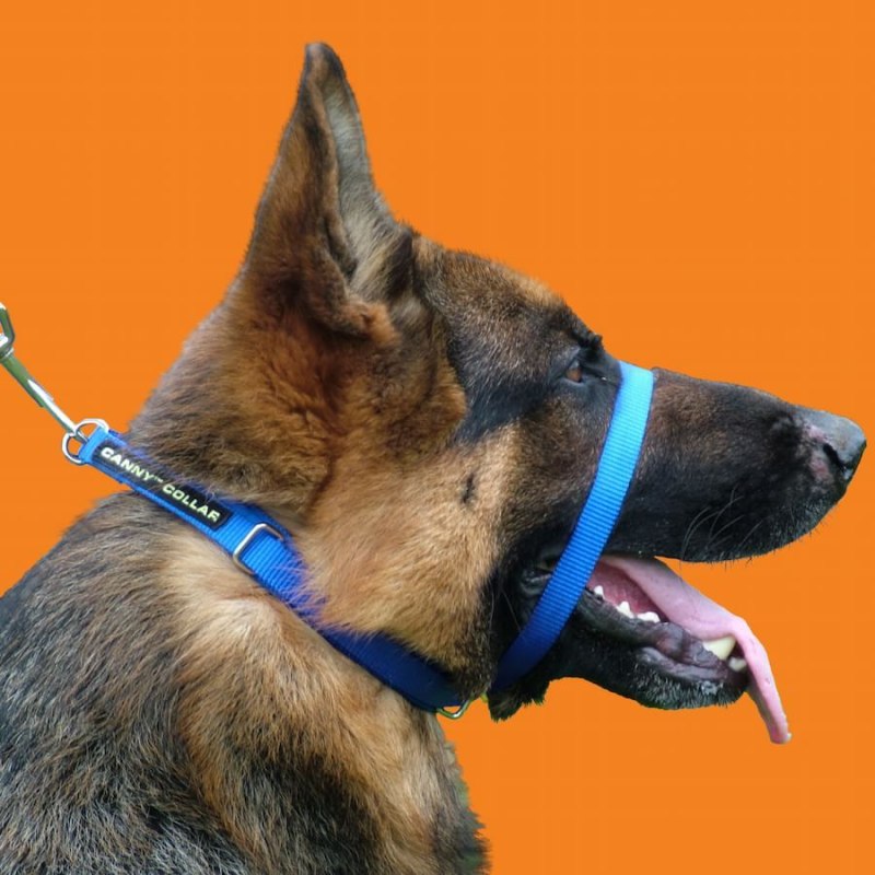 Ошейник Halti Collar / 15261a