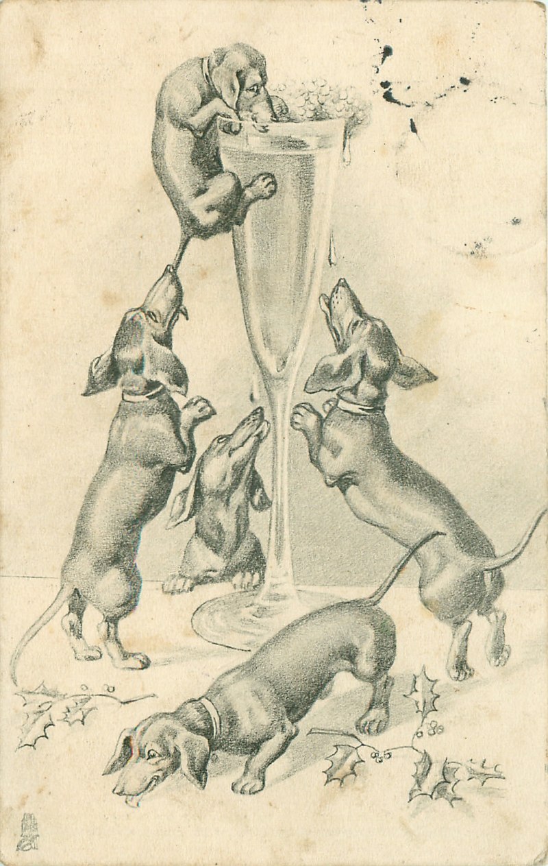 Пельмени собака пить. Старинные открытки с собаками. Карикатура алкоголик и собака. Старинные открытки с бульдогом. Старинные открытки немецкий дог.