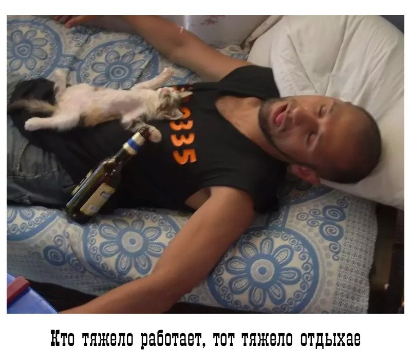 Собака с похмелья