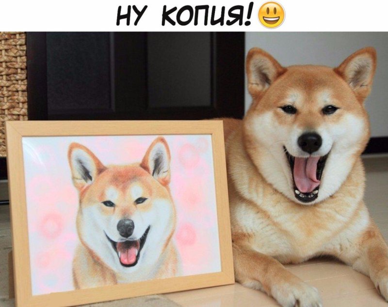 Собака улыбака рисунок