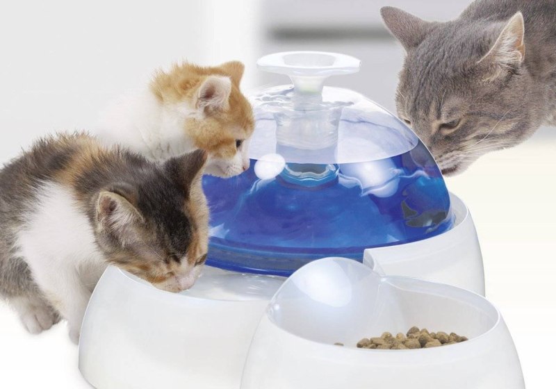 Поилка Catit