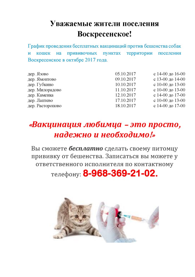 Вакцинация собак и кошек график