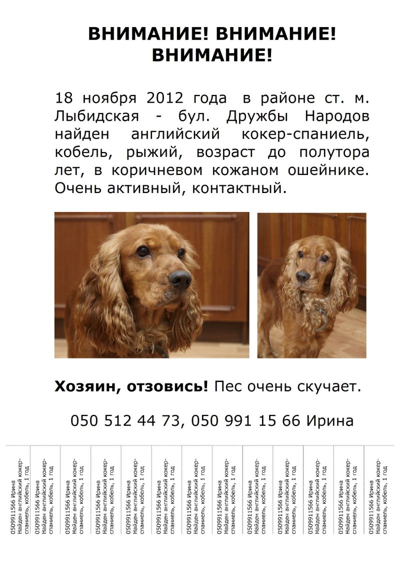 Вакцинация щенков