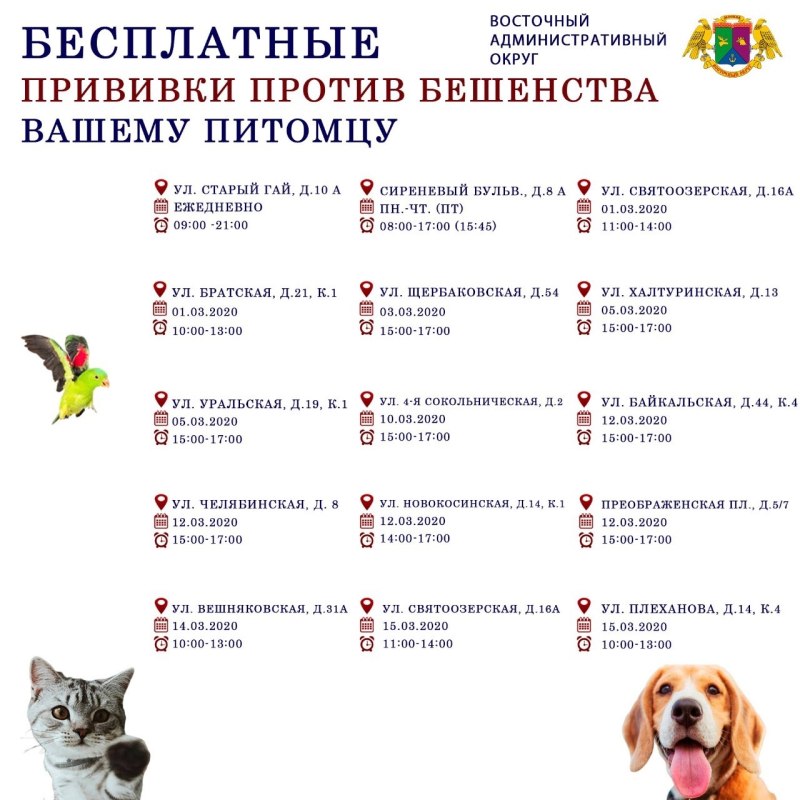 Прививки щенку французского бульдога по месяцам таблица