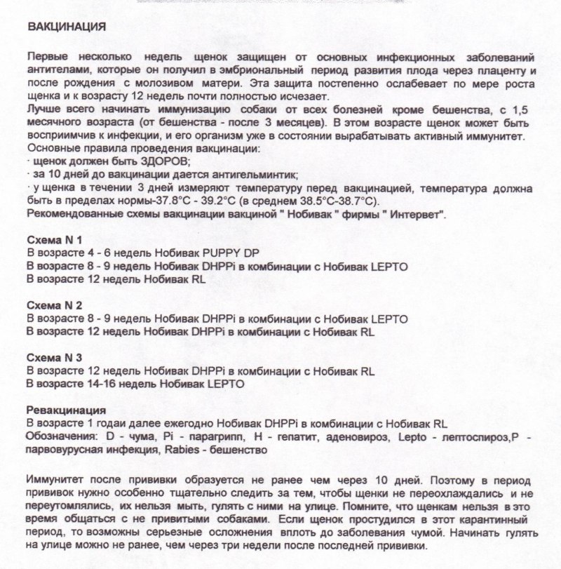 Схема прививок Нобивак для щенков
