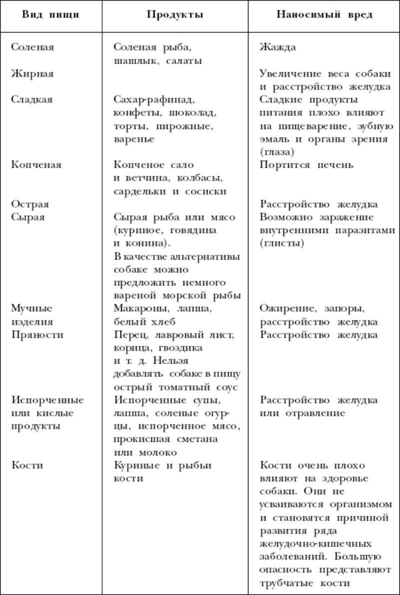 Журнал охотничьи собаки