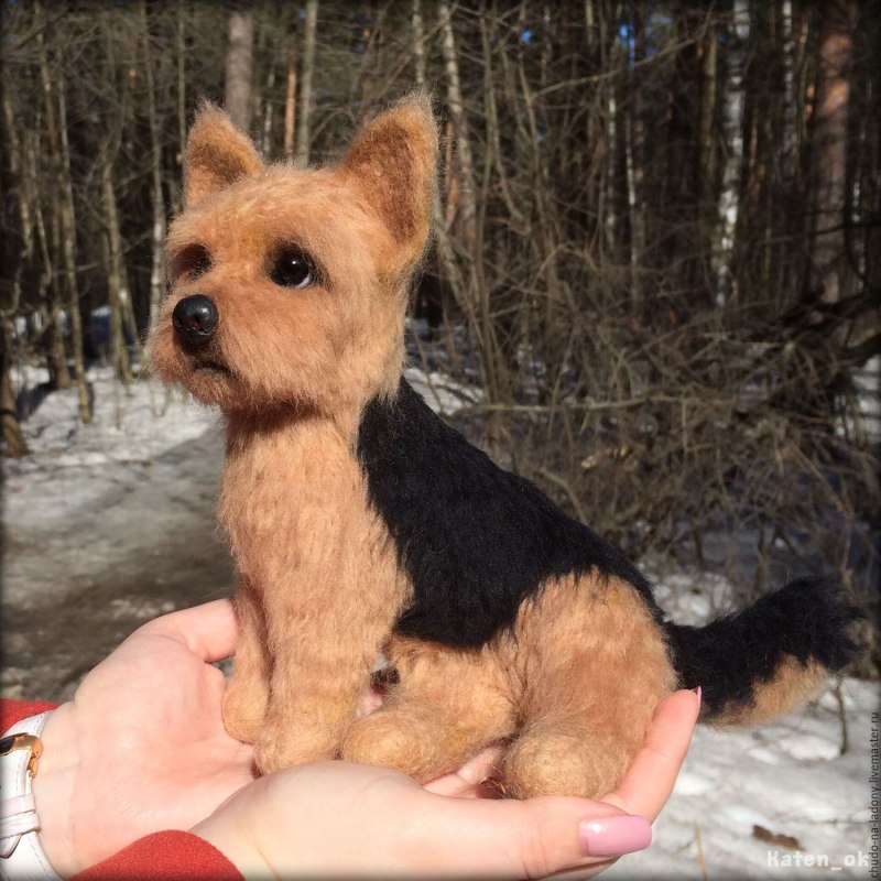 Сноу терьер