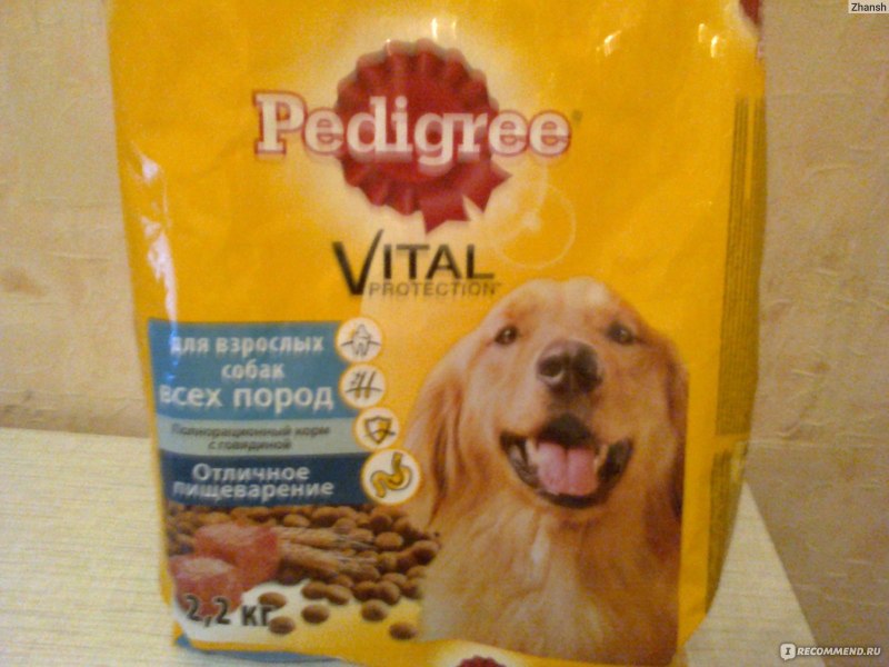 Щенок шарпея на белом фоне