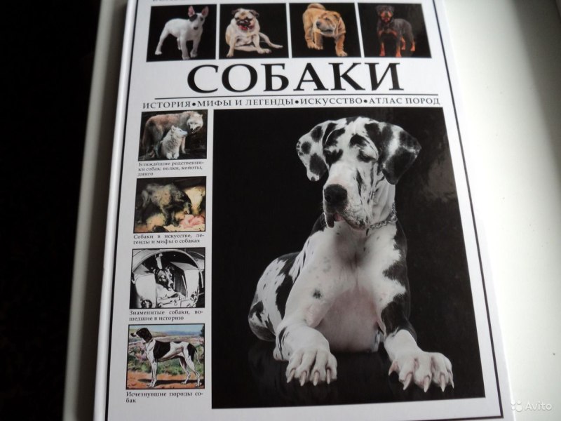Книга атлас про собак