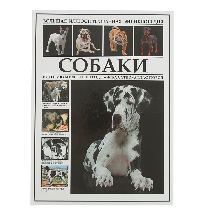 Собаки иллюстрированная энциклопедия
