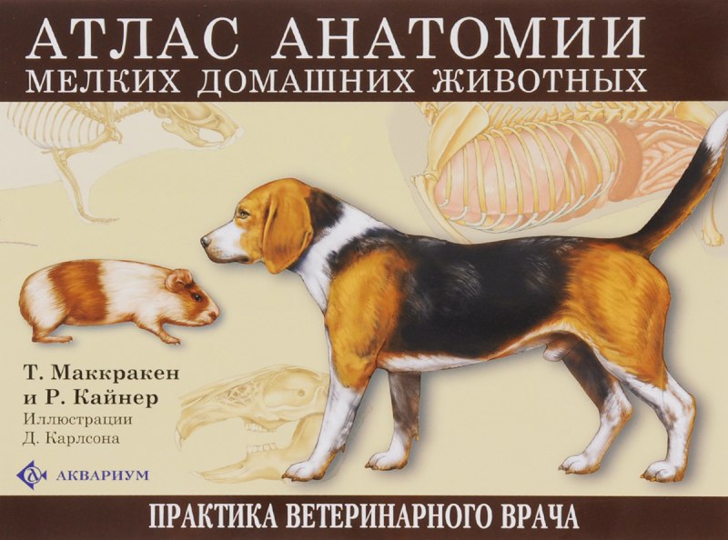 Маккракен, Кайнер: атлас анатомии мелких домашних животных
