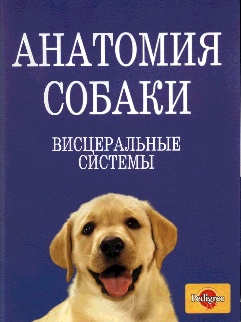 Анатомия собаки Слесаренко