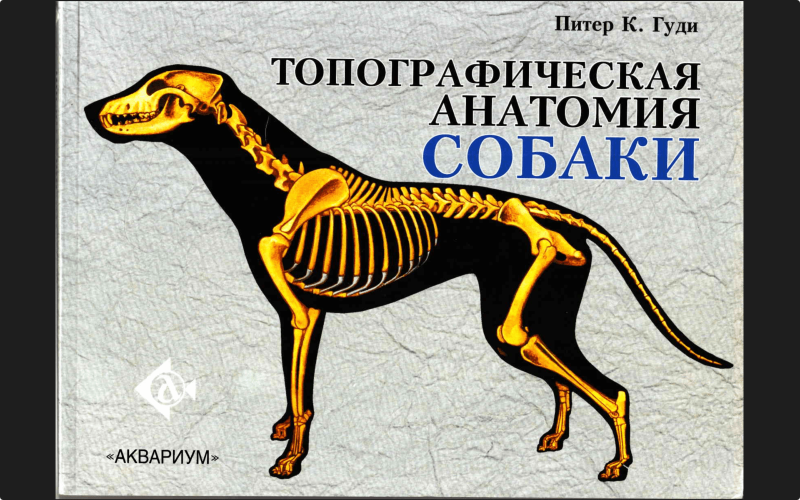 Анатомия собак книга
