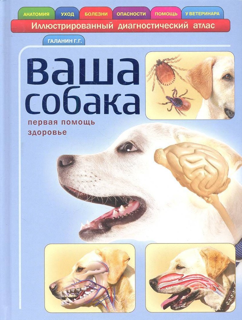 Большая книга собаки